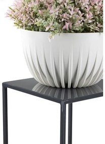 Virágállvány 70x24 cm antracit