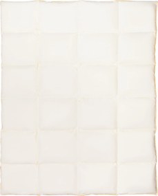 Tolltartó Toll és pehely paplan 140x200 Félpehely Egész Éves Természetes