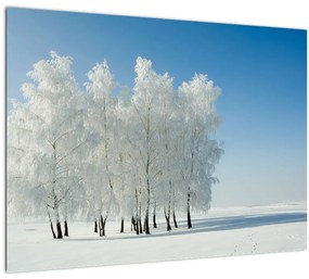 Egy havas táj képe (70x50 cm)