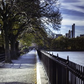 Poszter 30x30cm New York sétány, Assaf Frank