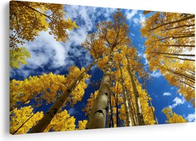 Kép - Aspen (90x60 cm)