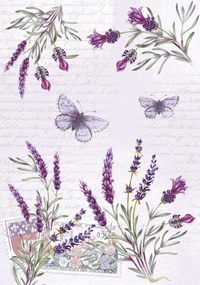 Levendula Butterfly A/4 gumis mappa