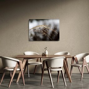 Cseppkép egy növényen (üvegen) (70x50 cm)