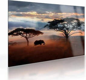 Kép - Serengeti Nemzeti Park, Tanzánia, Afrika (üvegen) (70x50 cm)