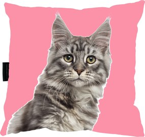 Minecoon Macska Párna, tökéletes ajándék