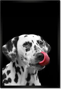 Poszterek keretben 40x60 Mindenre kidobva