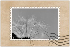 Poszterek 90x60 Pitypang Virág Virágok