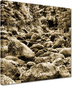 Vászonkép 30x30 Tátra Lengyel hegyek Kilátás