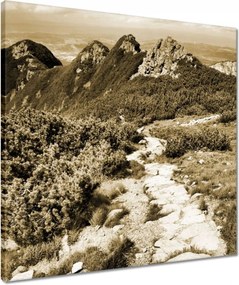 Vászonkép 50x50 Tátra Lengyel hegyek Kilátás