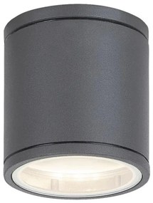Rabalux 8150 - Kültéri mennyezeti lámpa AKRON 1xGU10/35W/230V IP54