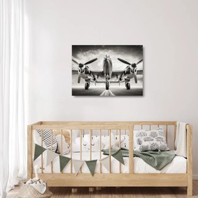 Üveg kép - Warbird (70x50 cm)