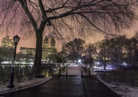 Poszter 66,5x46,5cm Esti kilátás a Central Parkra, Assaf Frank