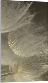 Üveg Vágódeszka 30x52 Virág a Konyhába