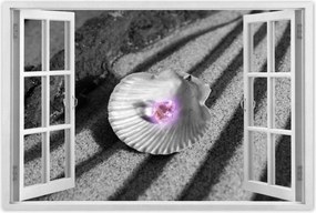 Poszterek 60x40 Kagyló és gyöngy Homok