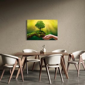Kép - anyaország (90x60 cm)