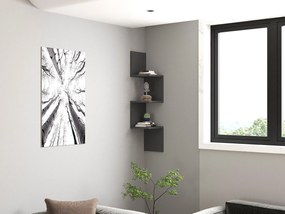 Polc Topike (antracit) . 1095803