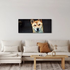 Kutya képe (120x50 cm)