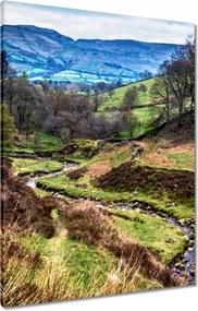 Vászonkép 60x80 Hegyi táj Patak