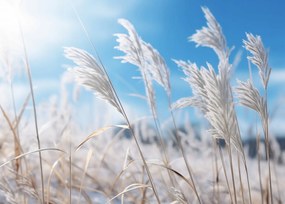 Poszter 35x25cm Zúgás a fű között