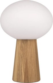 Markslojd PATER 108409 Asztali lámpa 1x60W/E27 IP20