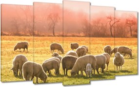Vászonkép 100x60 Juh legeltetés Bárányok