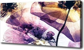 Canvas falikép Száraz pipacs 100x70 cm