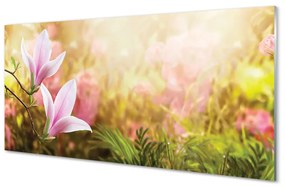 Akrilkép Magnolia fa nap 100x50 cm 2 fogas