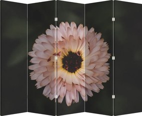 Paraván - Narancsságra virág (210x170 cm)