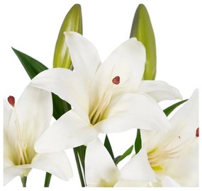 Művirág (magasság 59 cm) Lily – Ixia