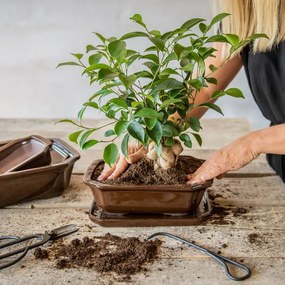 Kerámia bonsai cserép, 26 cm