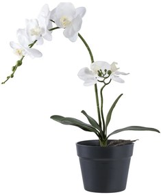 Orchidea műnövény 49 cm