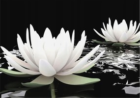 Dekoratív Fotótapéta Hálószobába Víz virágok 312x219 Ragasztó