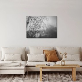 Kép - Mező az eső után (70x50 cm)