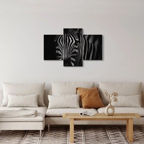 Zebra képe (90x60 cm)