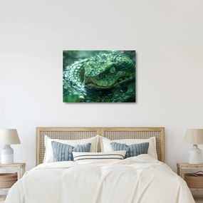 Üveg kép - Egy kígyó portréja (70x50 cm)