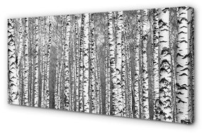 Canvas képek Fekete és fehér fa 100x50 cm