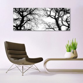 Akrilkép Fák Természet fekete-fehér 100x50 cm
