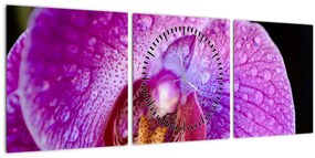 Részletes kép az orchidea virágról (órával) (90x30 cm)
