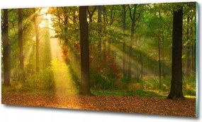 Fotó üvegfestmény Tátra csúcs 100x70