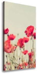 Egyedi vászonkép Vadvirágok pipacsok ocv-84806916