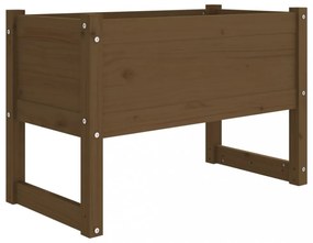 mézbarna tömör fenyőfa növénytartó 78x40x52 cm