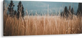 Kép - réti növényzet részlete (120x50 cm)