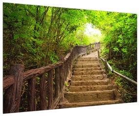 Nyári kép emelkedő lépcső a tájban (90x60 cm)