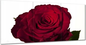 Vászonkép 180x90 Vörös rózsa fehér között
