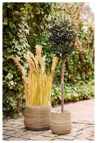 Rattan tárolókosár szett 2 db-os ø 39x35 cm Moro – House Nordic