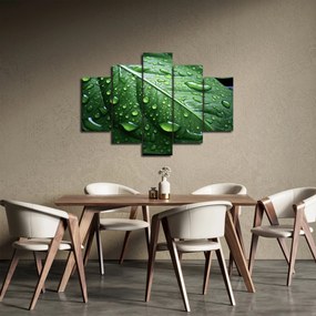 Kép - Részlet levél eső után (150x105 cm)