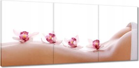 Képek 150x70 Pihenés a SPA-ban Orchideák