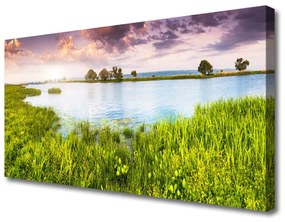 Vászonkép Grass Lake Nature 100x50 cm