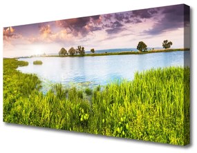 Vászonkép Grass Lake Nature 125x50 cm