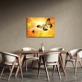 Kép - Sárga pillangó virággal (70x50 cm)